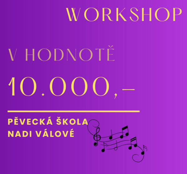 Voucher na lednový workshop